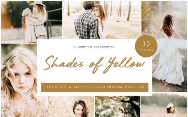 [Elements.Envato] Lightroom Presets – Shades of Ye_0.png